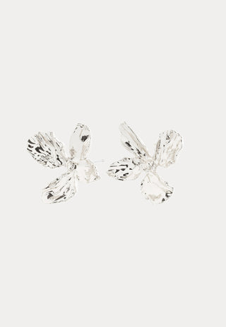 Dream Earrings Silver-plated