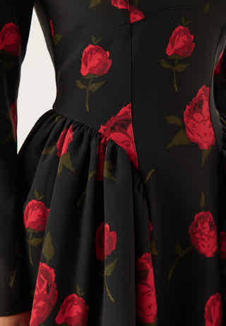 Volume Skirt Long Sleeve Mini Dress