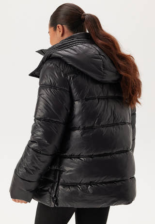 Semi Shiny Padded Jacket