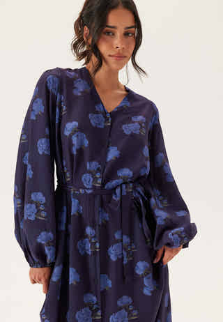 Balloon Sleeve Dress